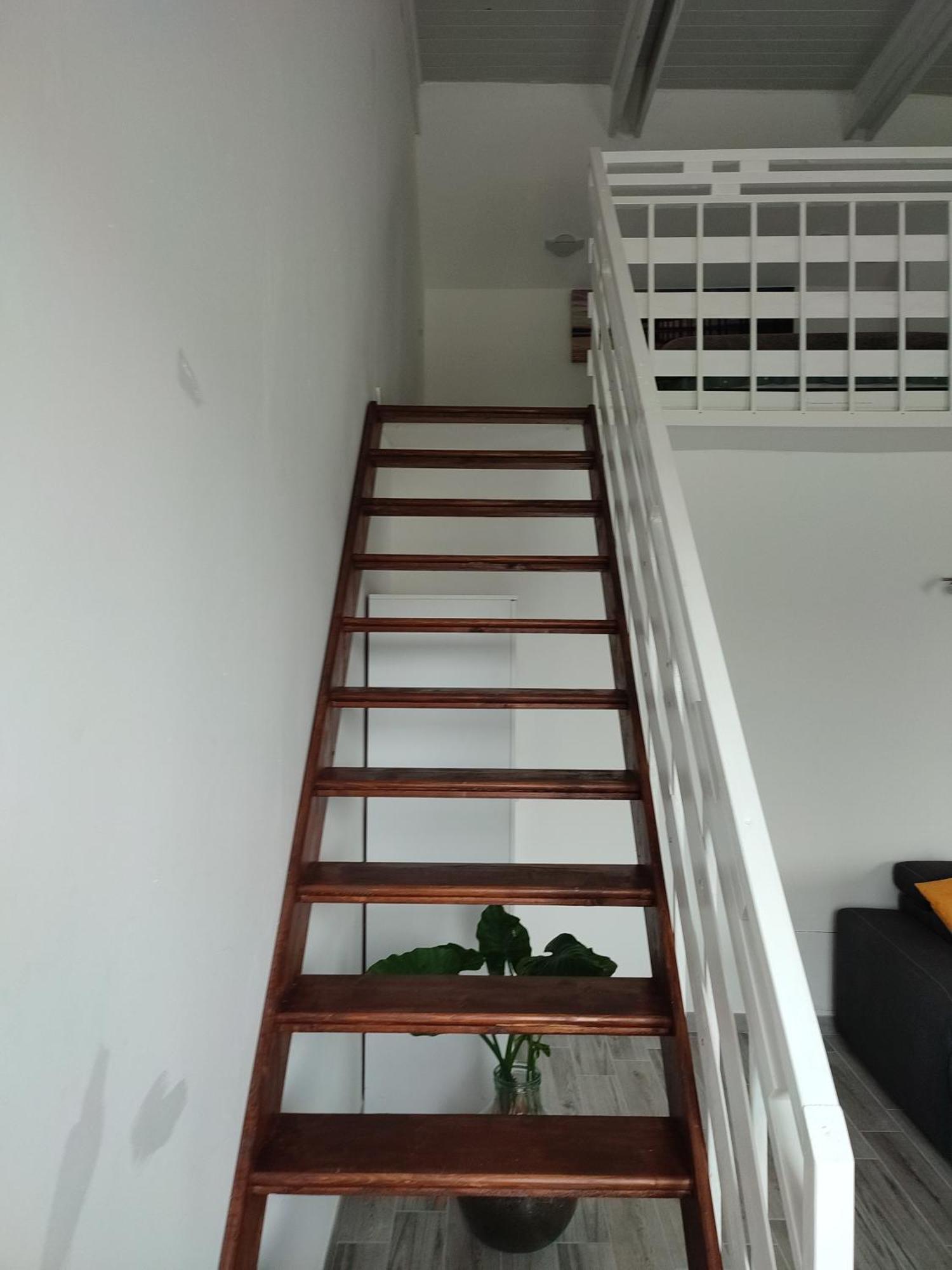 비베로네 Nautica Tarello - Casa Ena Beb B&B 외부 사진
